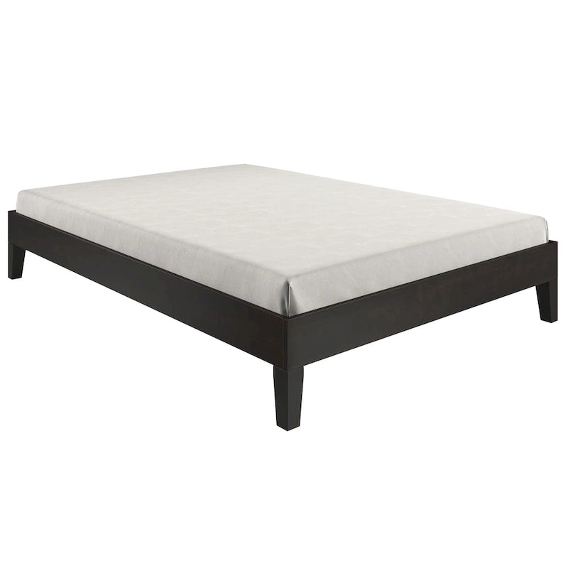 Steve Silver Nola Platform Bed